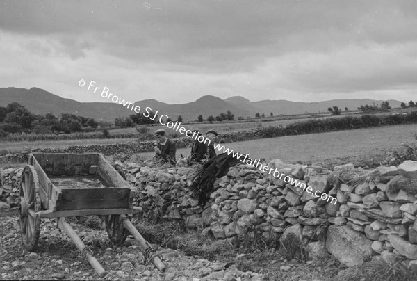 VIEW OF BAY WITH CART